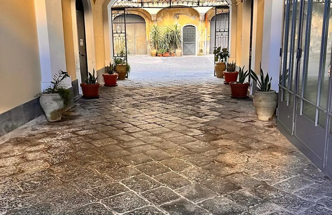 B&B Kike-1